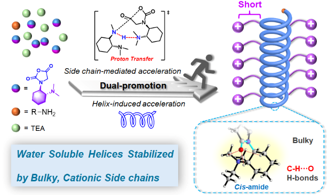 clip_image005.png clip_image005.png